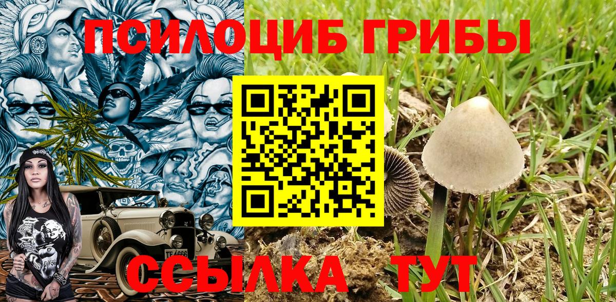 Галлюциногенные грибы MAGIC MUSHROOMS  Вход с VPN  Нововоронеж 